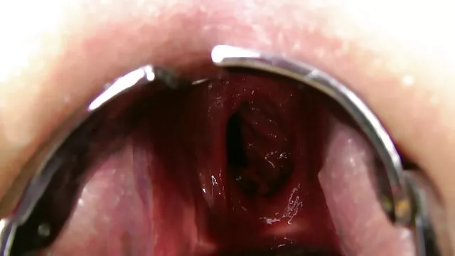 Un chico gay chupa una polla y p0rno en español es follado anal con amigos